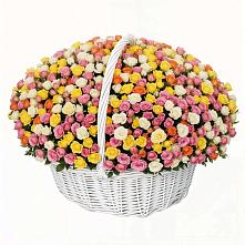 Премиум букет из: Розы в Судиславле