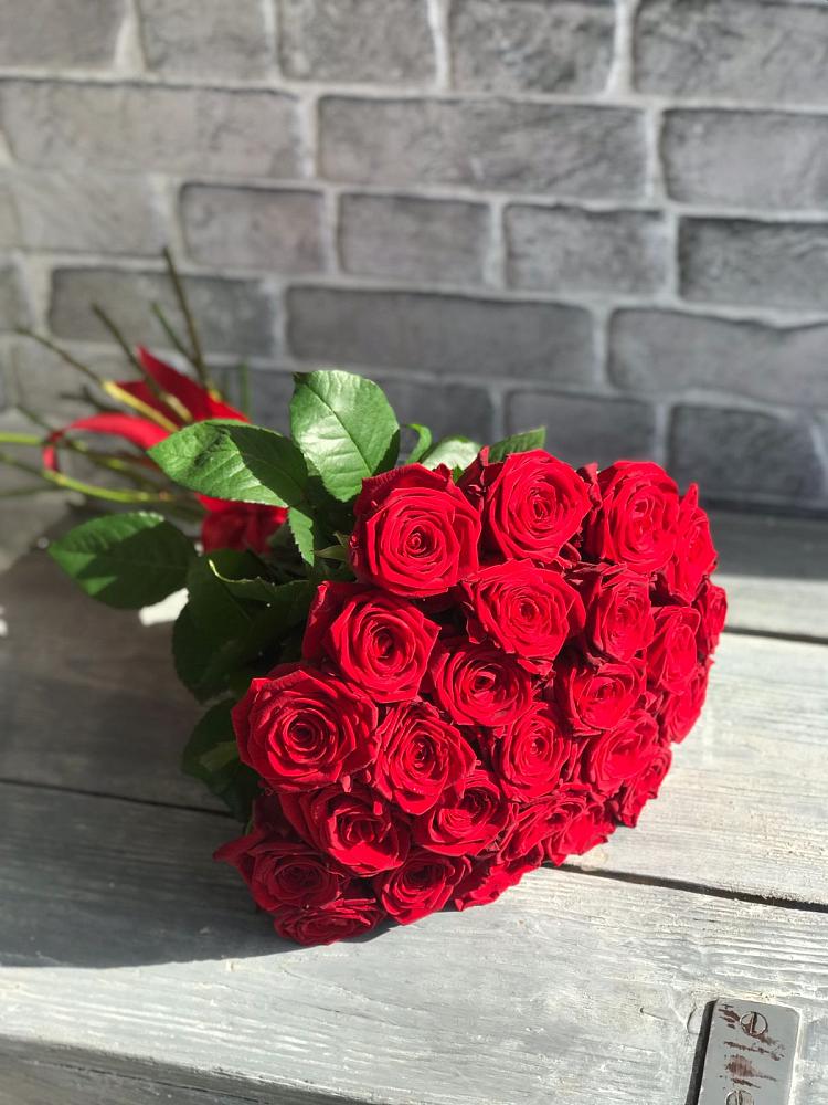 Букет Красные розы Фридом в Судиславле